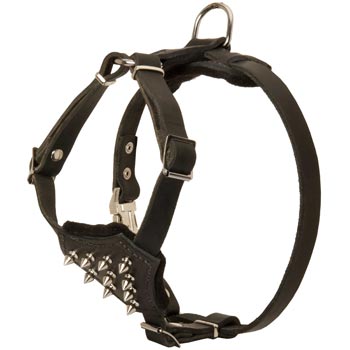 Mastiff Leather Puppy Harness with Attractive Nickel Decoration