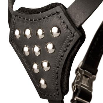 Mastiff Harness Leather with Studded  Breast Plate