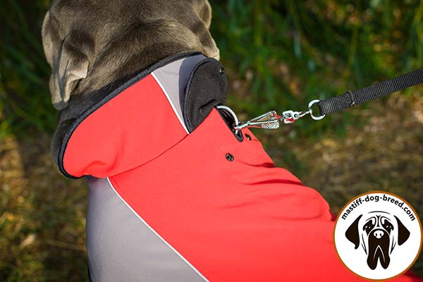 Nylon Mastino Napoletano jacket harness with hole for leash fixation
