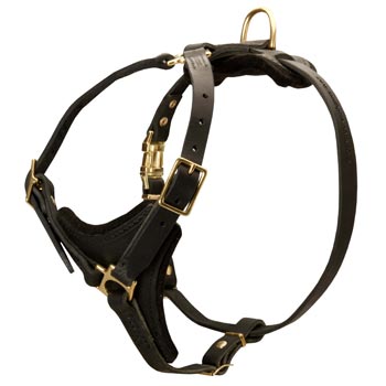 Mastiff Harness Black Leather with Padded Chest Plate for Training