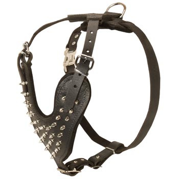 Spiked Leather Harness for Mastiff Walking