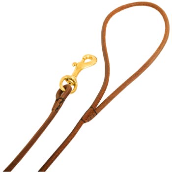Leather Mastiff Leash with Comfy Round Hnadle