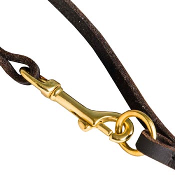 Leather Mastiff Leash with Brass Hardware for Dog Control