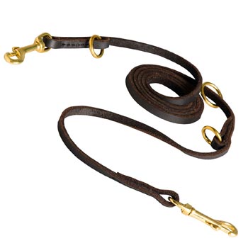 Multipurpose Mastiff Leather Leash for Effective Training