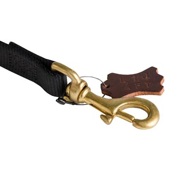 Nylon Mastiff Leash with Dependably Stitched Brass Snap Hook