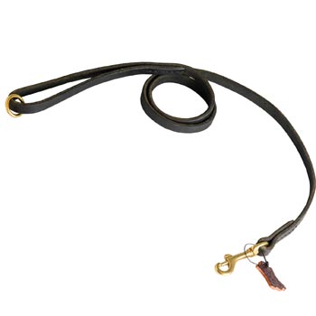 Strong Leather Mastiff Leash for Popular Dog Activities