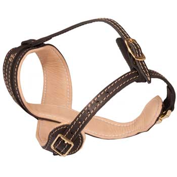 Mastiff Muzzle Leather Easy Adjustable with Quick Release Buckle